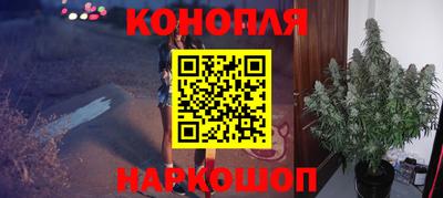 гашик Тулун