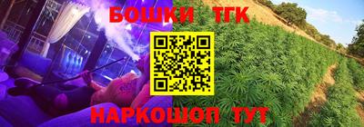 гашик Тулун