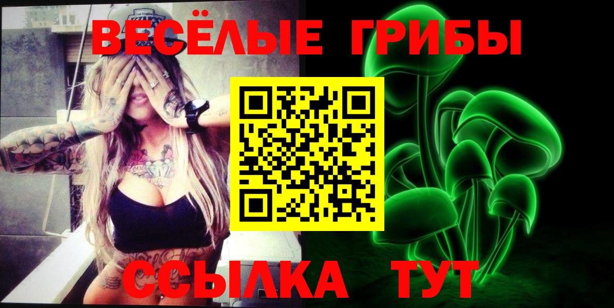 Псилоцибиновые грибы Psilocybe Муравленко